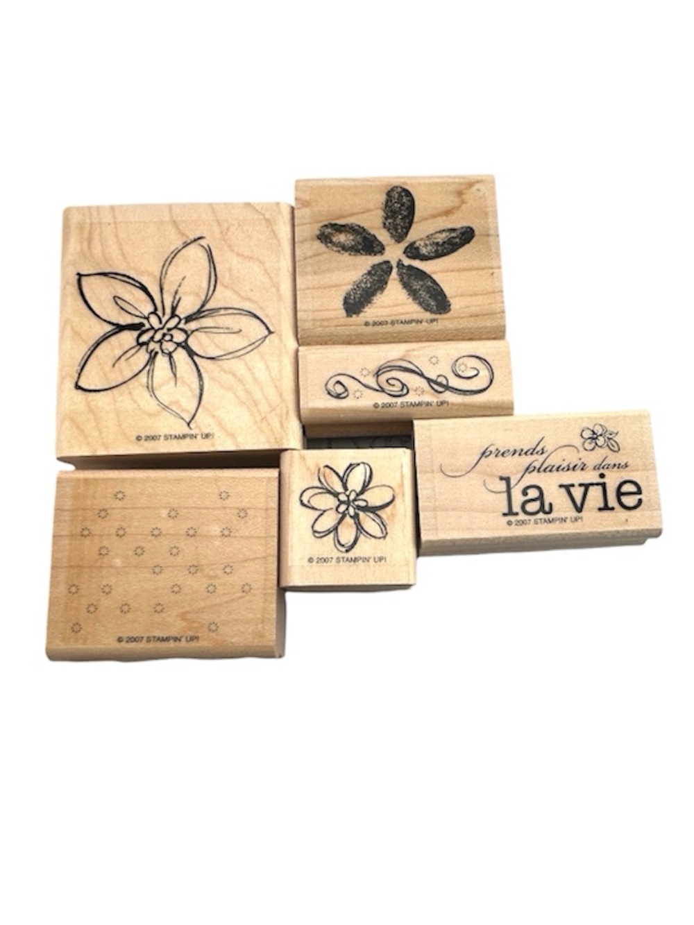 🍒 Stampin’Up! 🍒 “Prends plaisir dans la vie” (Delight in Life) Stamp set.